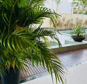 Alphaville Ceará 3 - 6